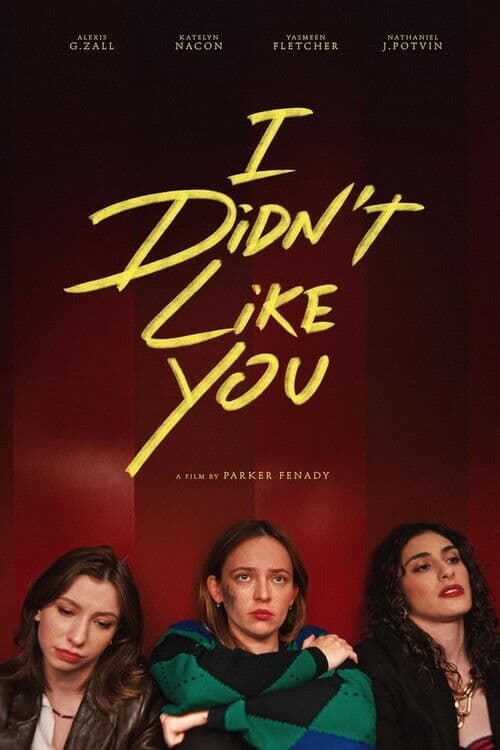 I Didn't Like You (2026) poster