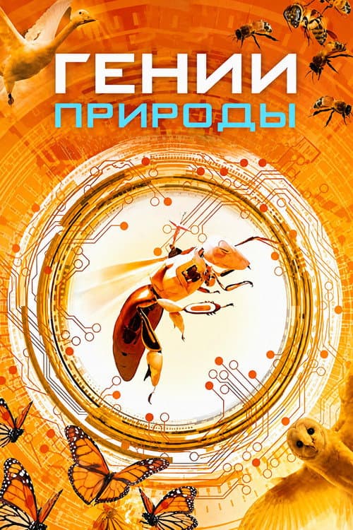 Bionik Revolution - Die besten Ideen der Natur (2012) poster