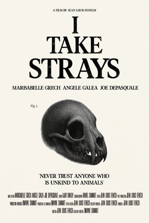I TAKE STRAYS (2026) poster