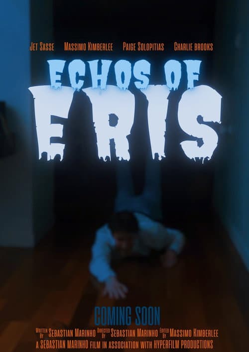 Echos of Eris (2024) poster