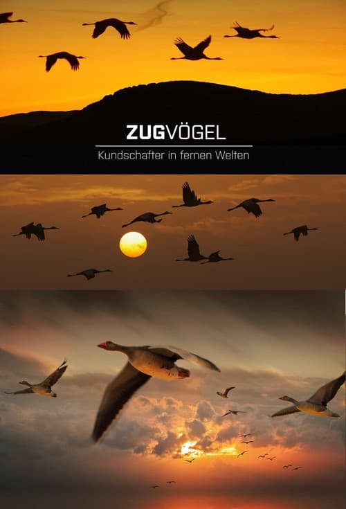 Zugvögel - Kundschafter in fernen Welten (2016) poster