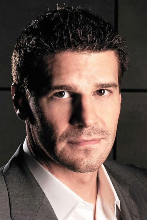 David Boreanaz foto