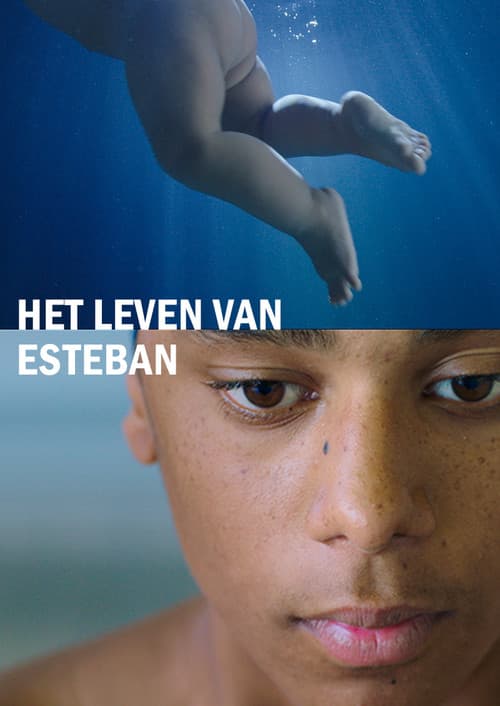 Het leven van Esteban (2017) poster