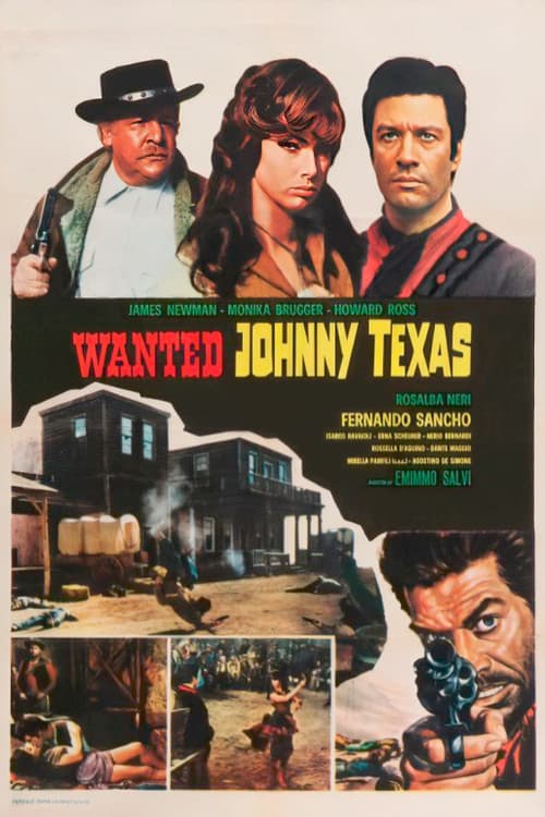 Wanted Johnny Texas (1967) poster