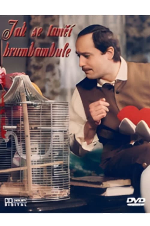 Jak se tančí brumbambule (1985) poster