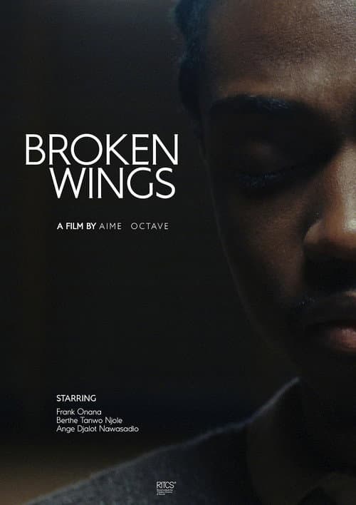 Broken Wings (2023) poster