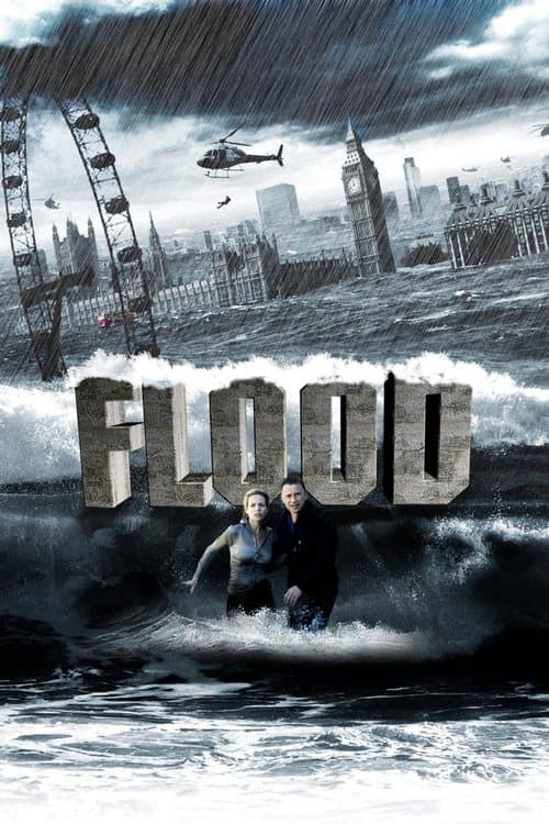 Flood (2007) poster