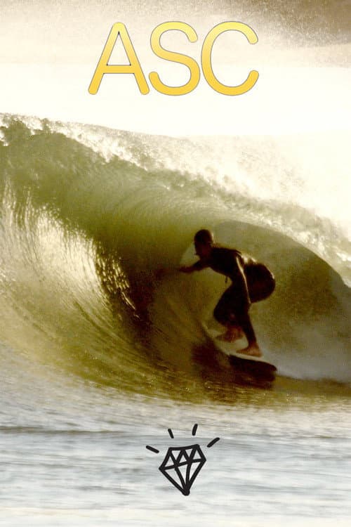 Alternative Surf Craft (2017) poster