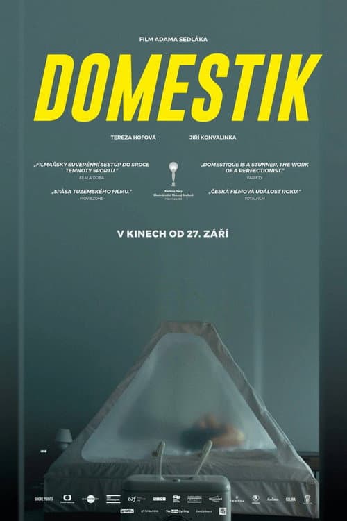 Domestik (2018) poster