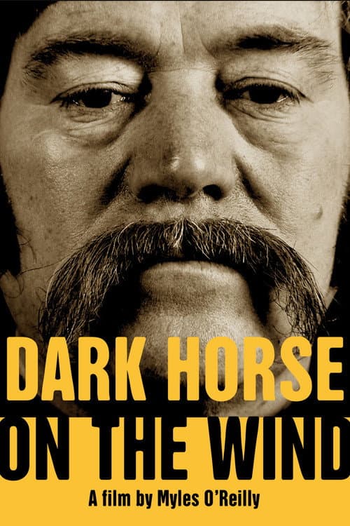 Dark Horse on the Wind (2022) poster