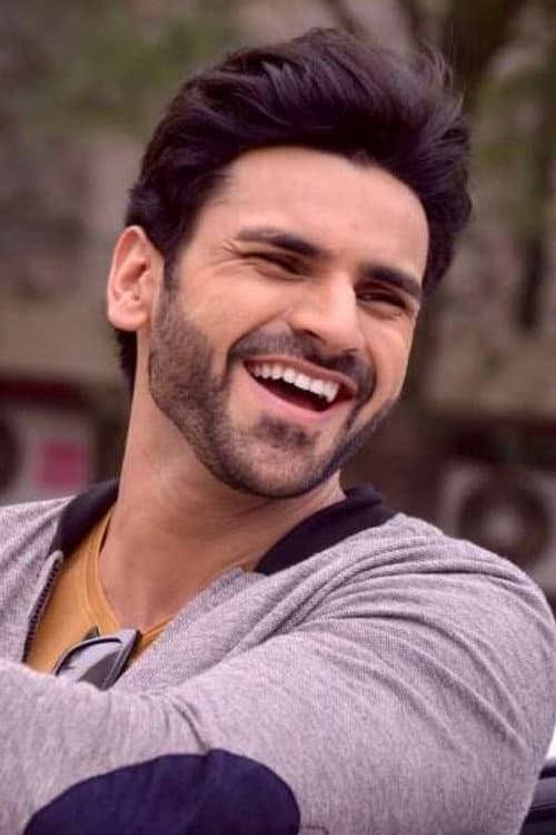 Vivek Dahiya foto
