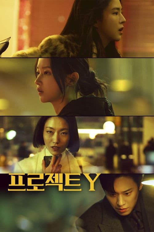 프로젝트 Y (2026) poster
