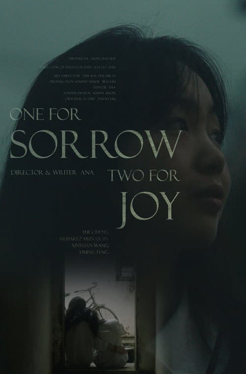 One for Sorrow, Two for Joy (2022) poster