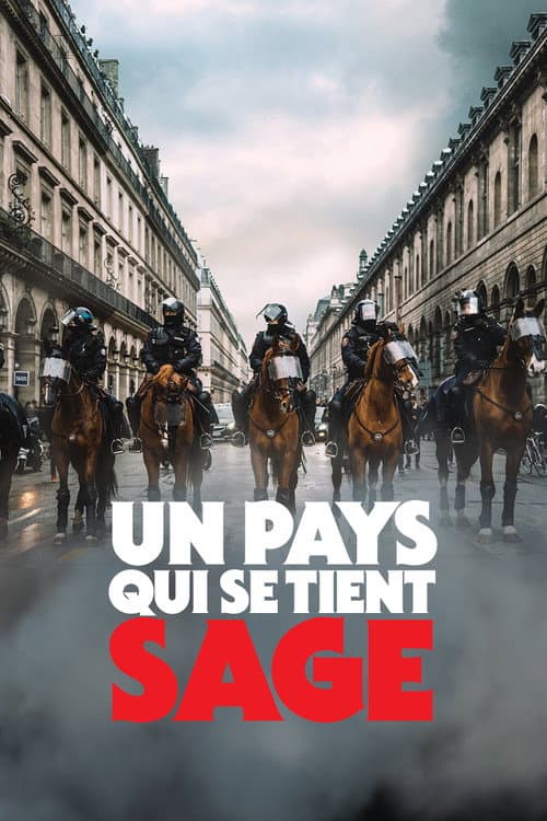 Un pays qui se tient sage (2020) poster