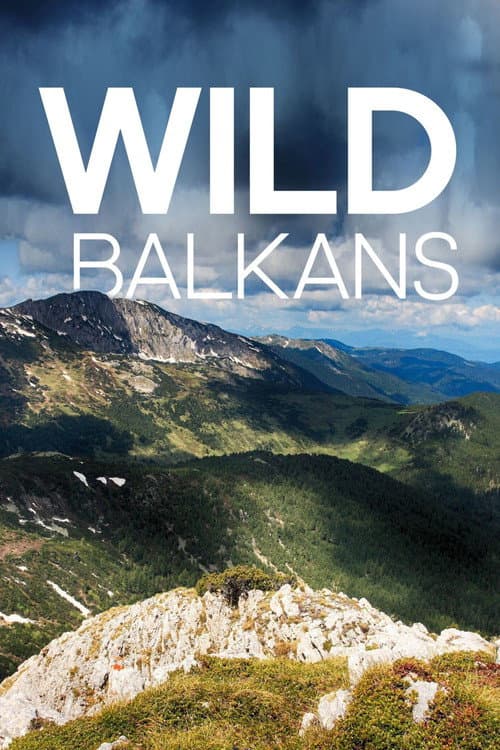 Wilder Balkan (2009) poster