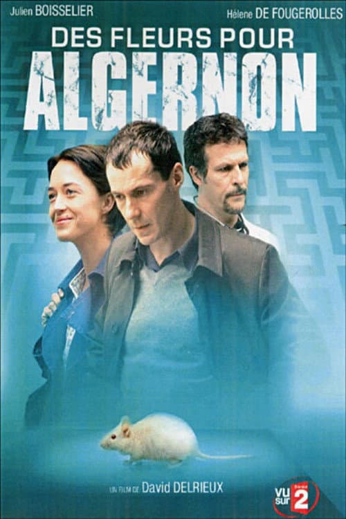 Des fleurs pour Algernon (2006) poster
