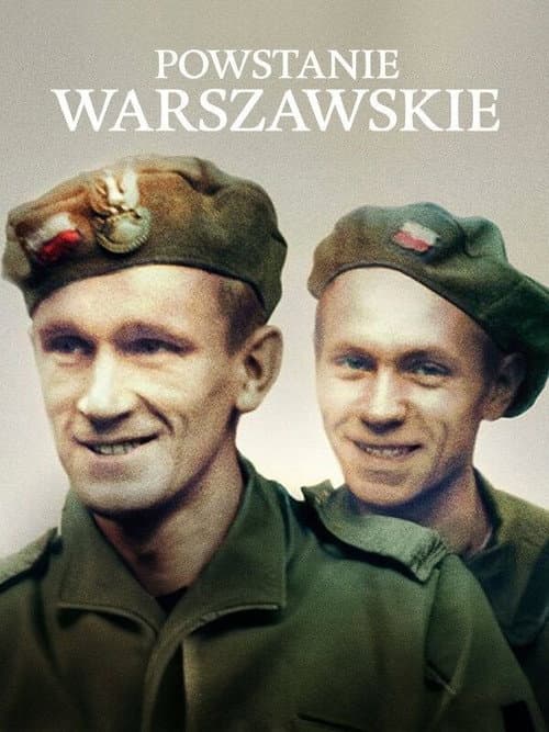 Powstanie warszawskie (2014) poster