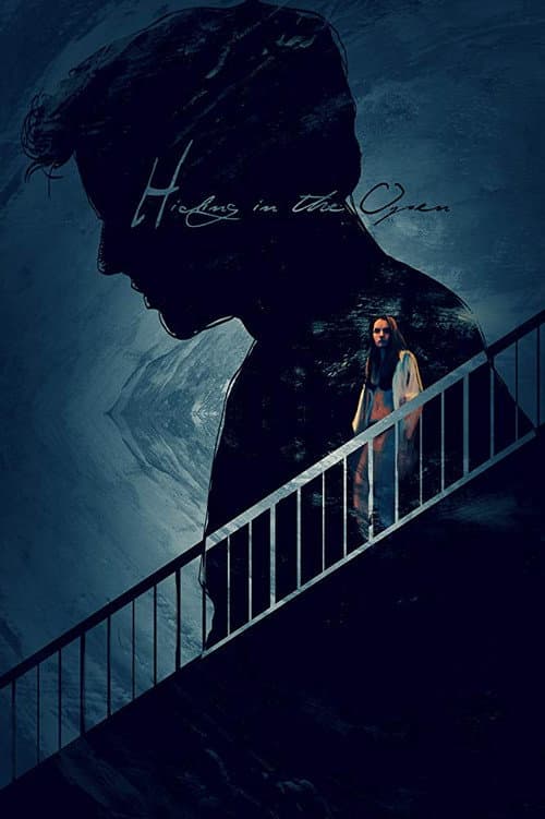 Hiding in the Open (2013) poster