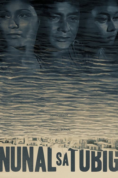 Nunal sa Tubig (1976) poster