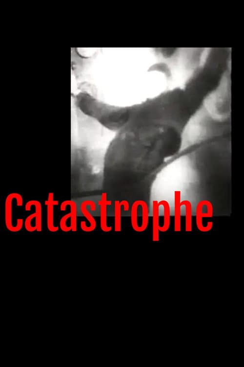Catastrophe (2025) poster