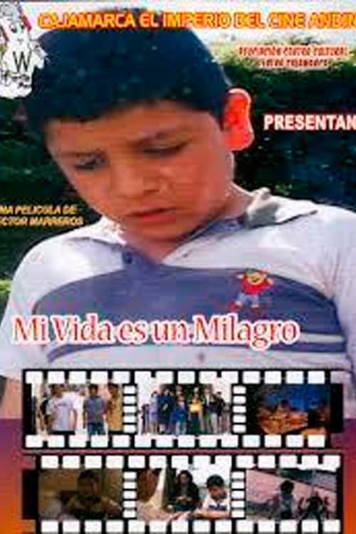 Mi Vida es un Milagro (2007) poster