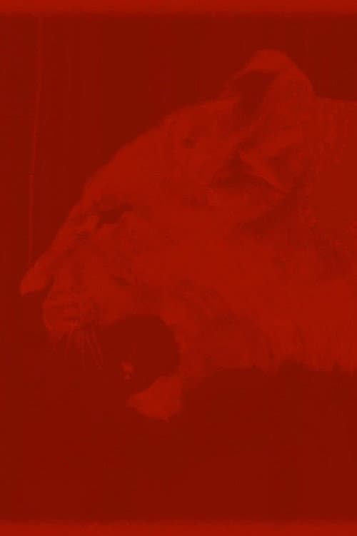Salammbô (2022) poster
