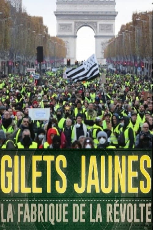 Gilets jaunes : La fabrique de la révolte (2019) poster