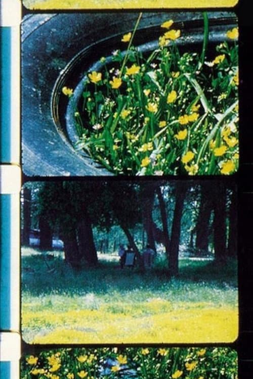 Bouquets 1-10 (1995) poster