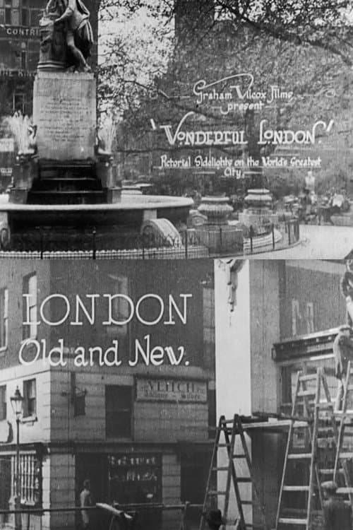 Wonderful London: London Old and New (1924) poster