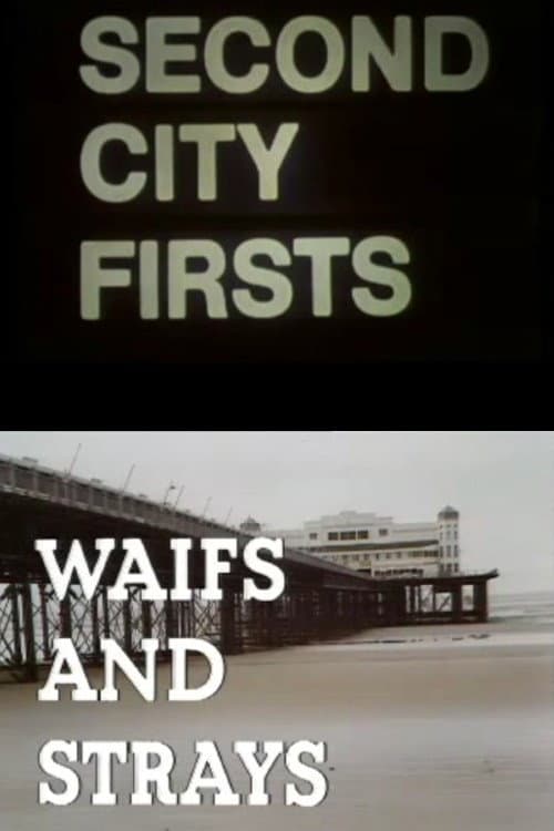 Waifs and Strays (1977) poster