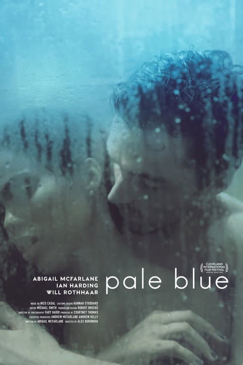Pale Blue (2016) poster