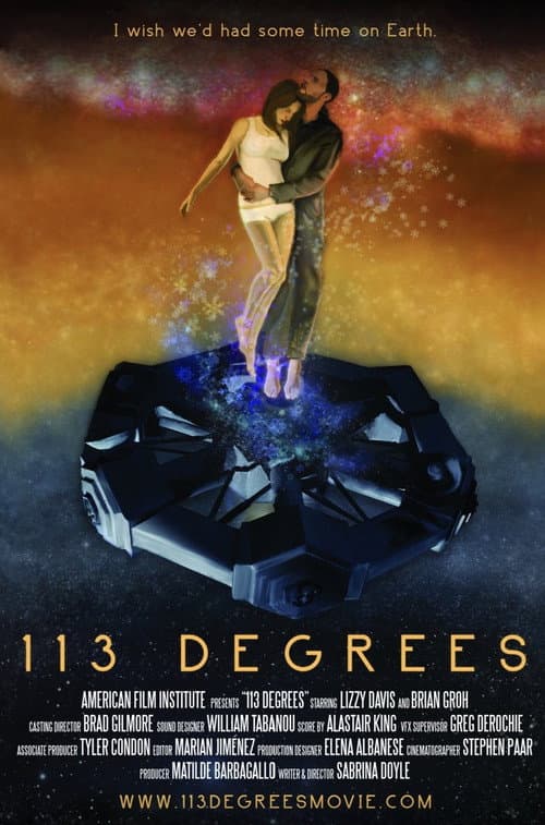 113 Degrees (2013) poster