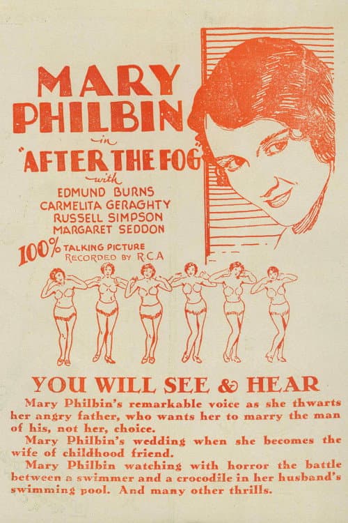 After the Fog (1929) poster