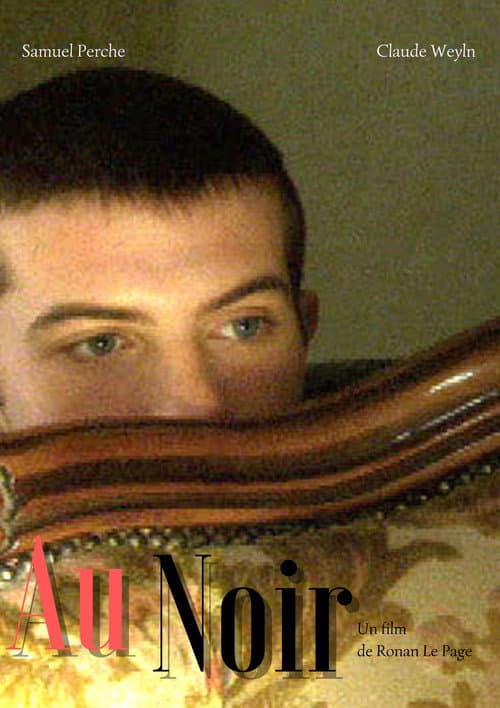 Au noir (2003) poster