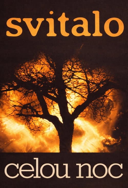 Svítalo celou noc (1980) poster