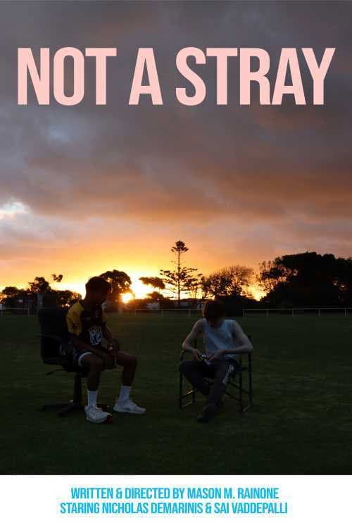 Not a Stray (2021) poster