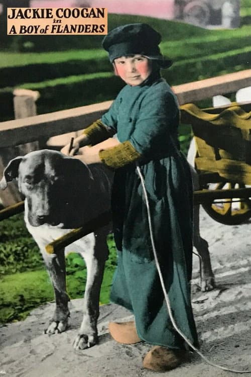 A Boy of Flanders (1924) poster