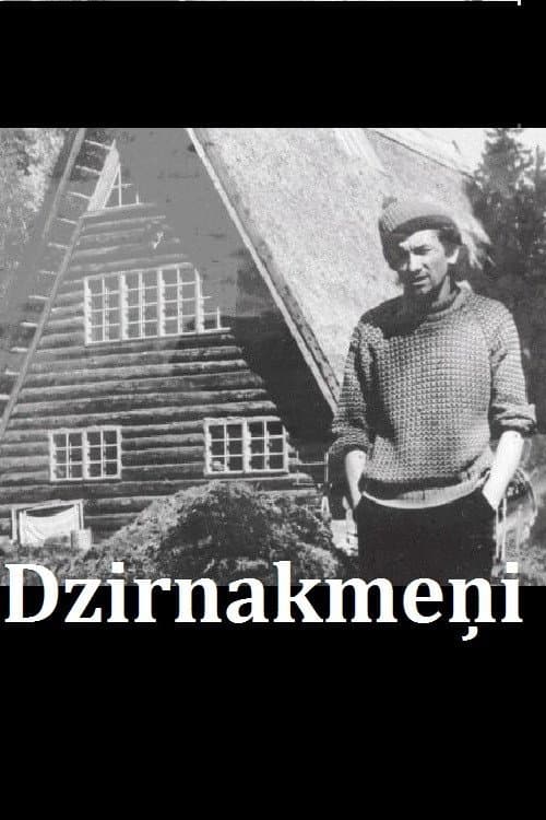 Dzirnakmeņi (2015) poster