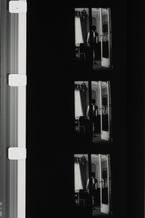 Autoportrait en blanc et en noir (1977) poster