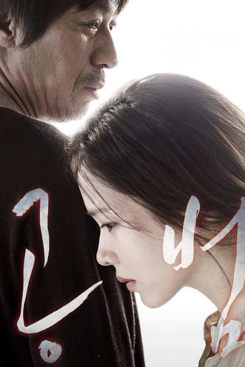 공범 (2013) poster