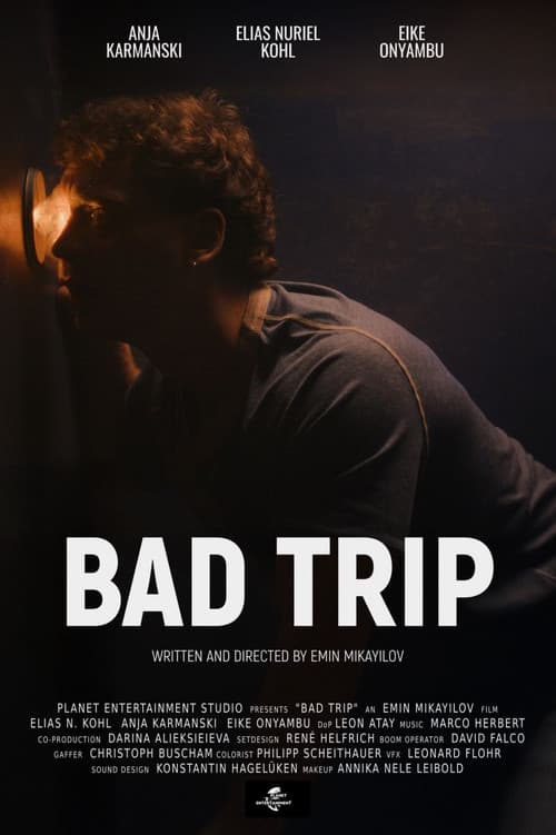 Bad Trip (2025) poster