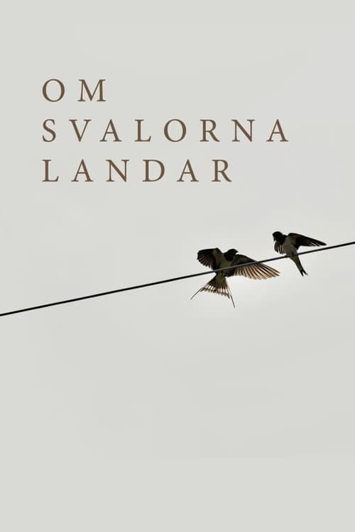 Om svalorna landar (2026) poster