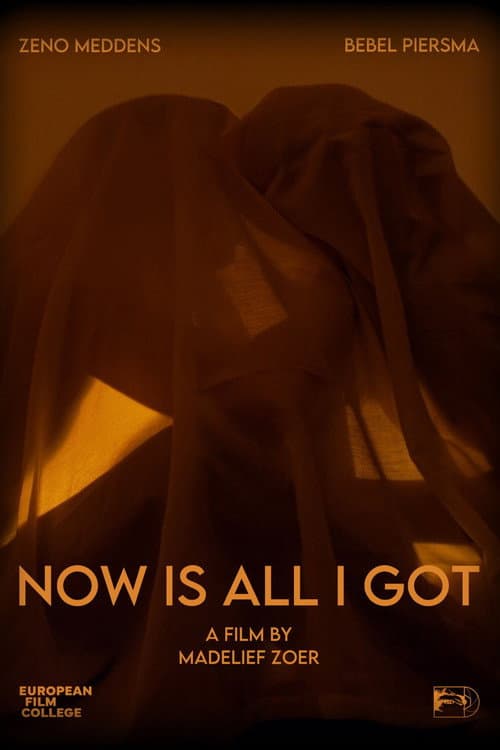 Now Is All I Got (2025) poster