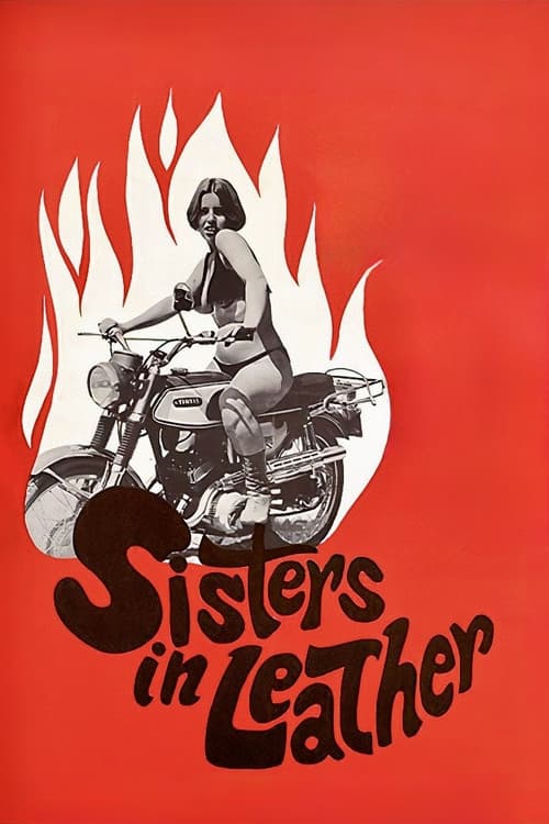 Sisters in Leather (1969) poster