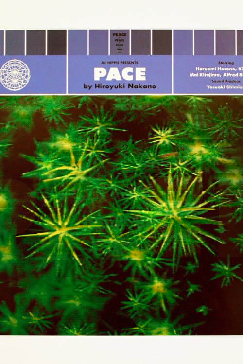 Pace (1990) poster