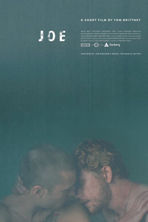 Joe (2025) poster