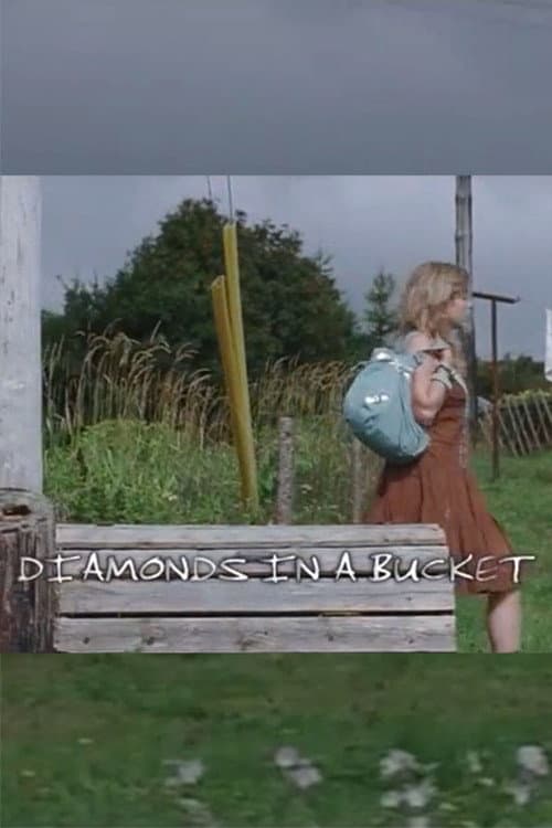 Diamonds in a Bucket (2007) poster
