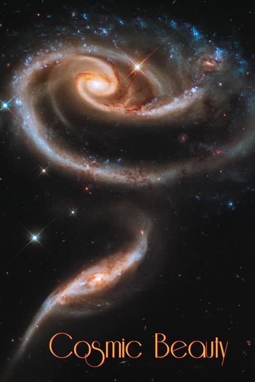 Cosmic Beauty (2019) poster