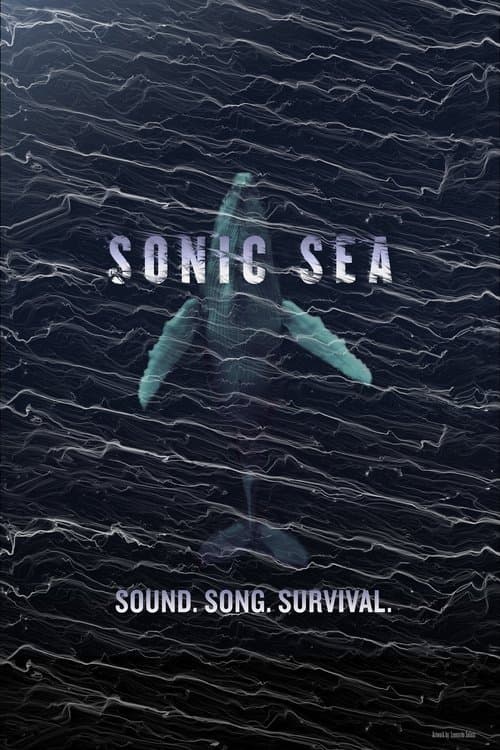 Sonic Sea (2016) poster