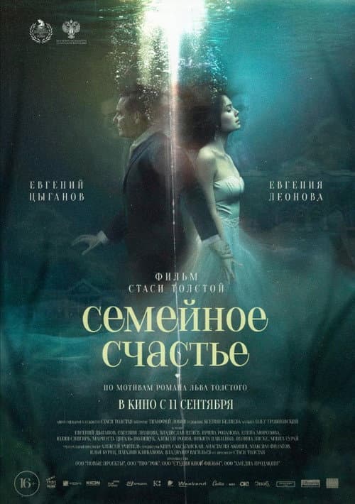 Семейное cчастье (Semeynoe schaste) (2025) poster
